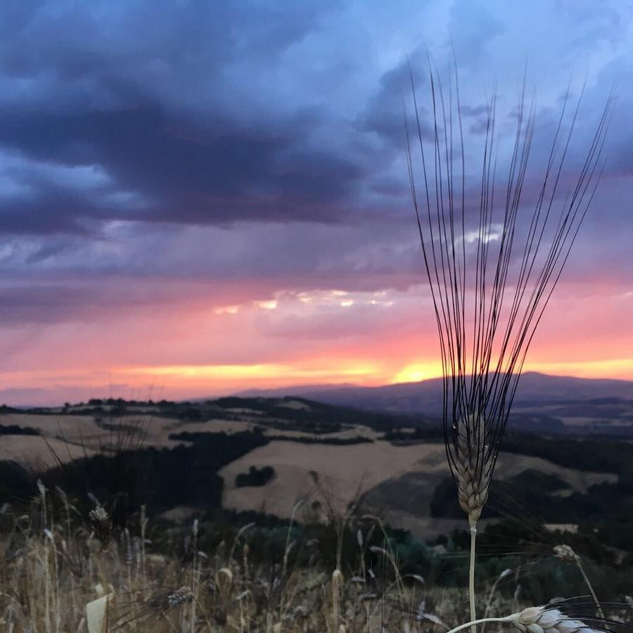 Willa Agriturismo Incanto Del Fiume Pomarance Zewnętrze zdjęcie